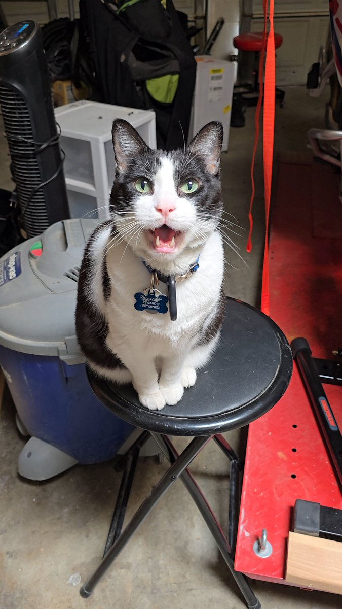 Stephen T. Crye tweet media