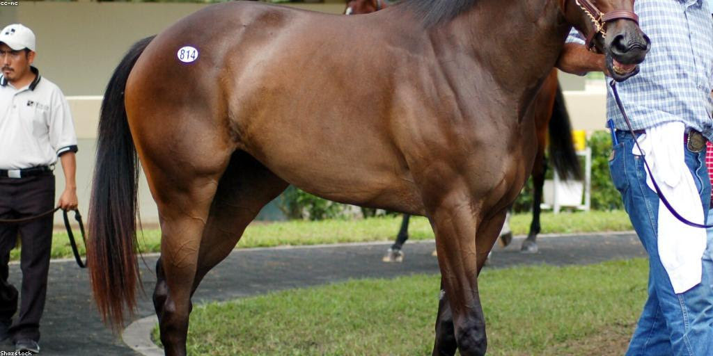 High Octane Racing 🔥🌹 tweet media