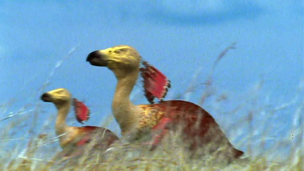 Swamp_Ape_Science tweet media