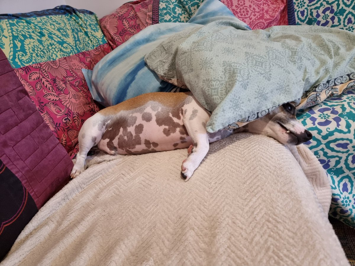 My friend, Peter 🙂 tweet media