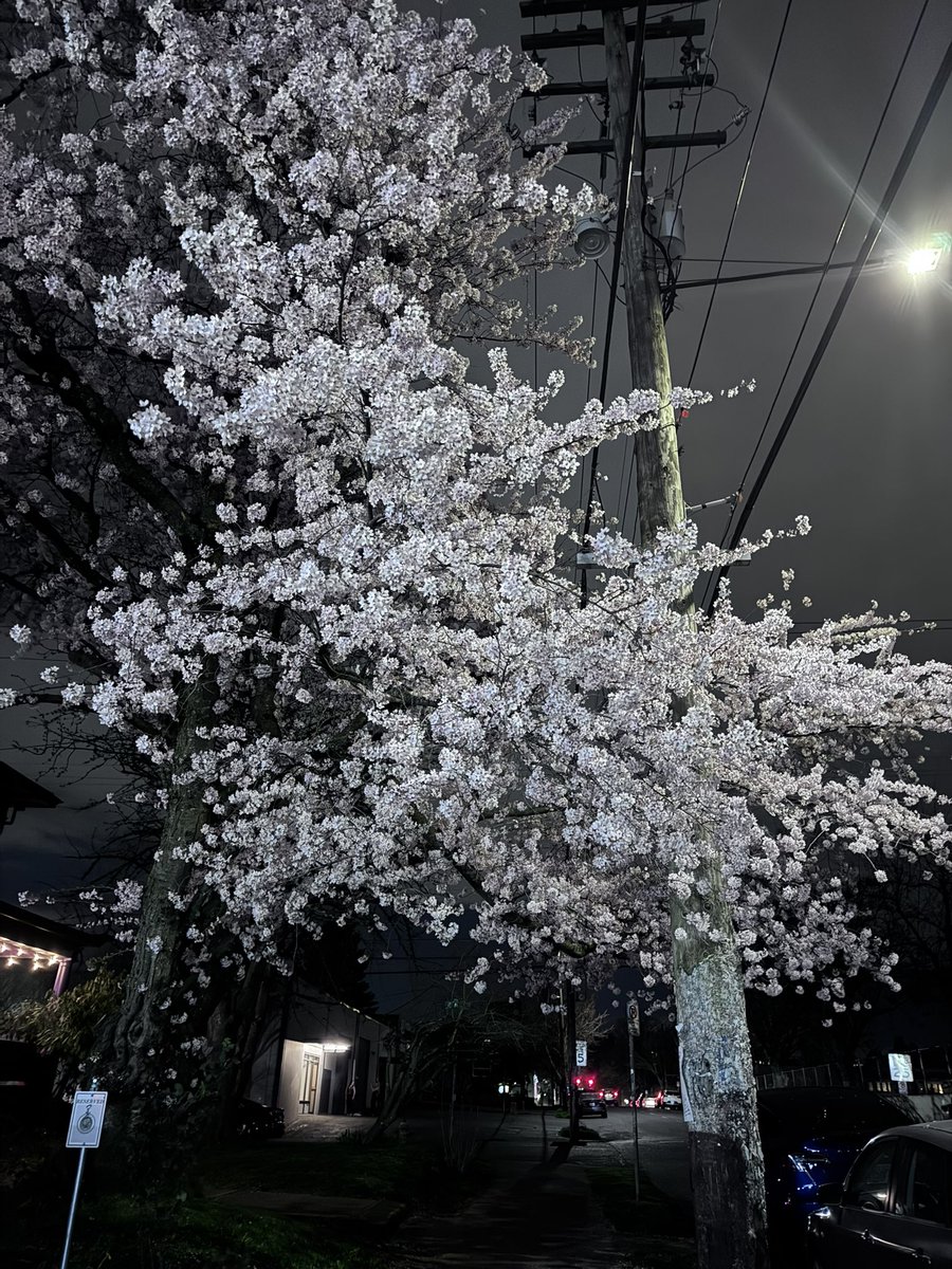 alexandra 💿🫧 tweet media