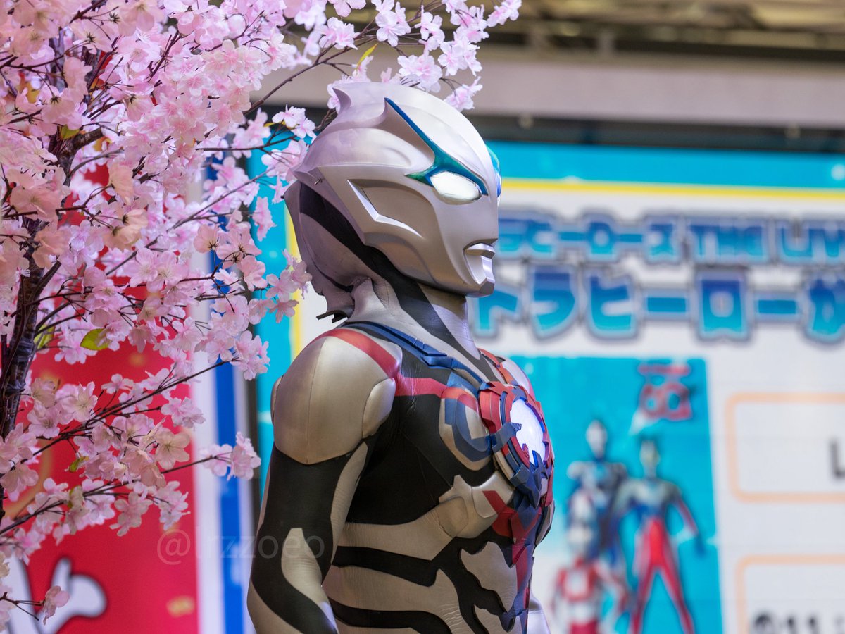 lrzzoeo's tweet photo. 20260321 アリオ八尾

これは後頭部に当たった桜が気になるブレーザー
※造花です

#ウルトラマンブレーザー
#アリオ八尾 https://t.co/zdrUIdhrAW