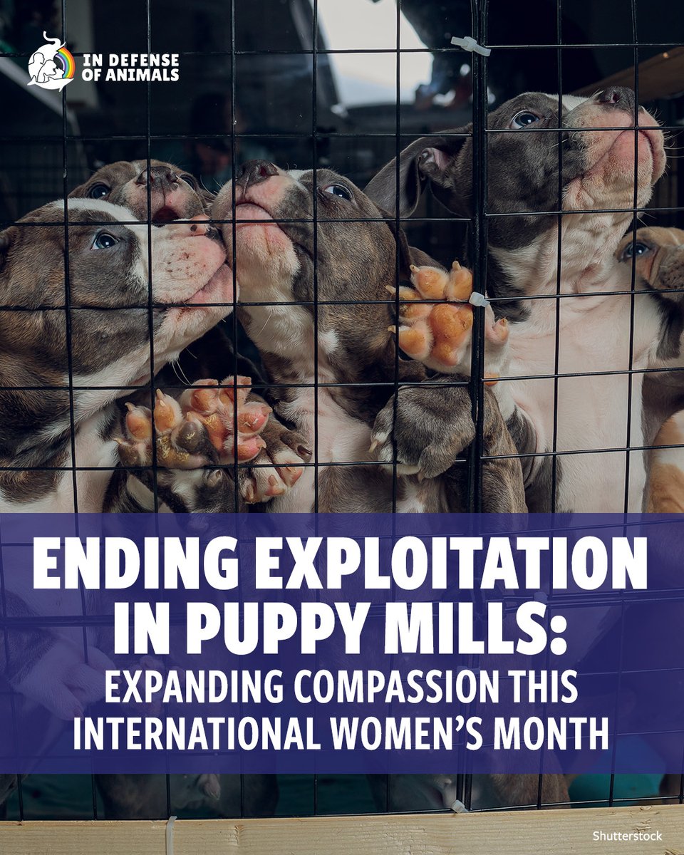 In Defense Of Animals tweet media