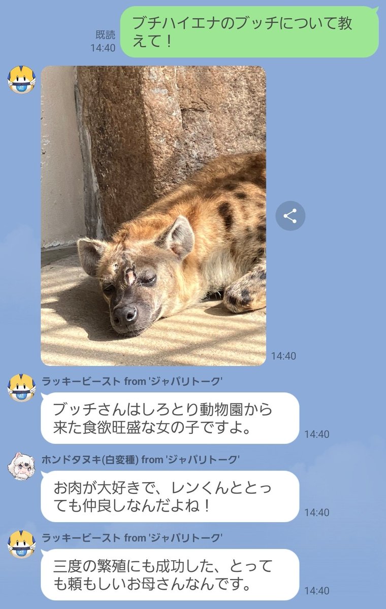 ジャパリトーク【公式】 tweet media