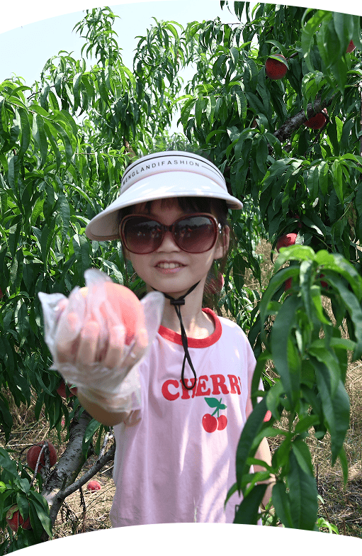 Deneu Vanessa tweet media