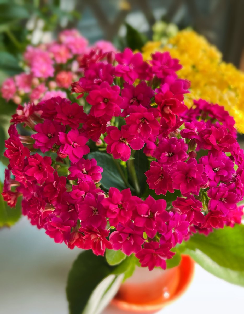 Slk-group tweet media