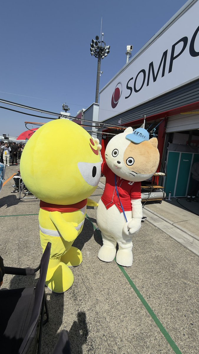 湊雅之(MINATY) tweet media