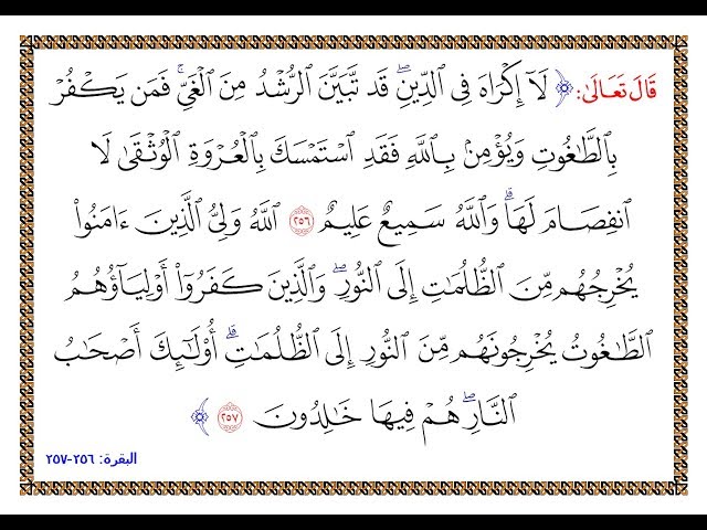 masj_5154's tweet photo. https://t.co/fULf8SdKkg