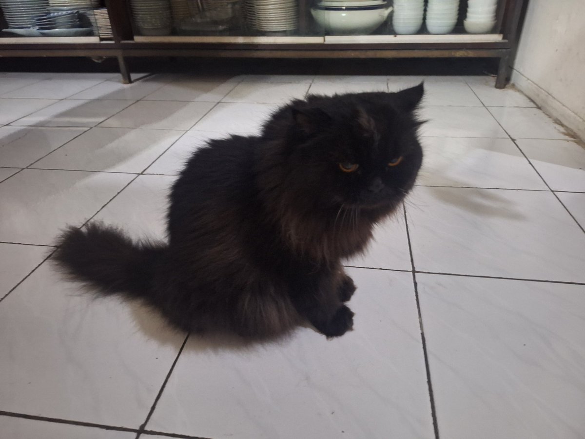 « Skyranger » tweet media