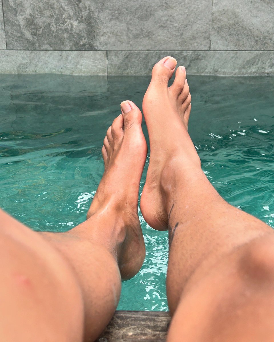 INDIGO BARKS tweet media