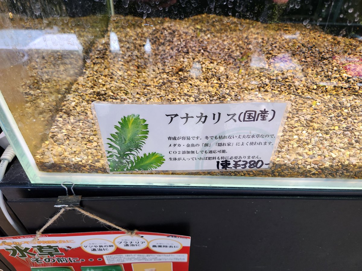 panda@琴葉姉妹の趣味語リ (@panda03923116) on Twitter photo 