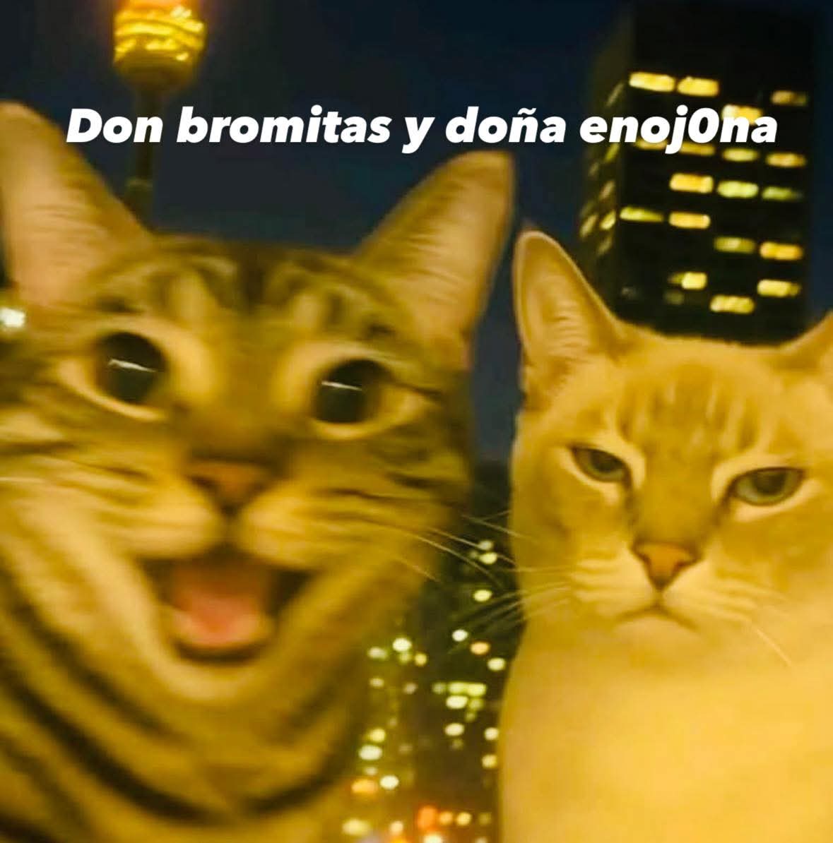 Animalitos en aprietos. tweet media