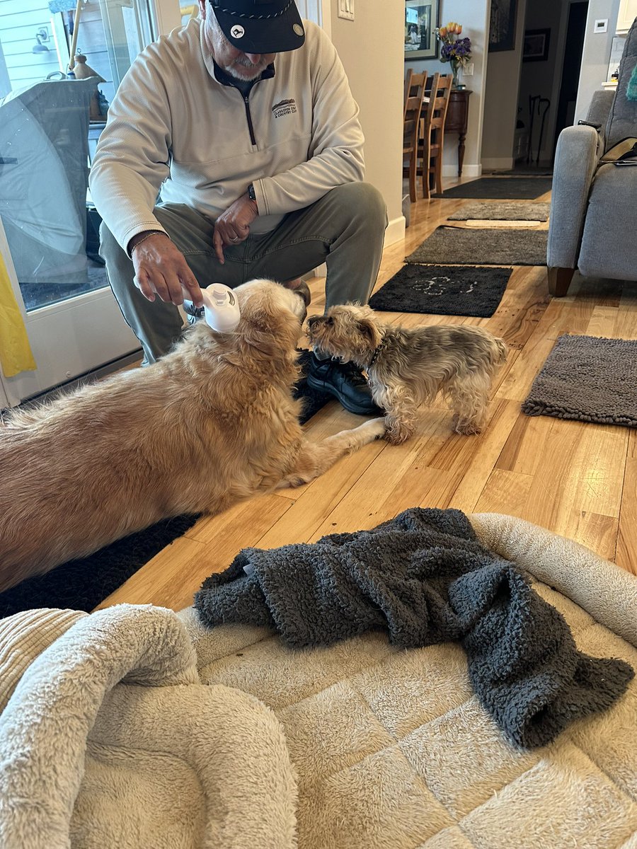 DOC ⭐️⭐️⭐️ tweet media