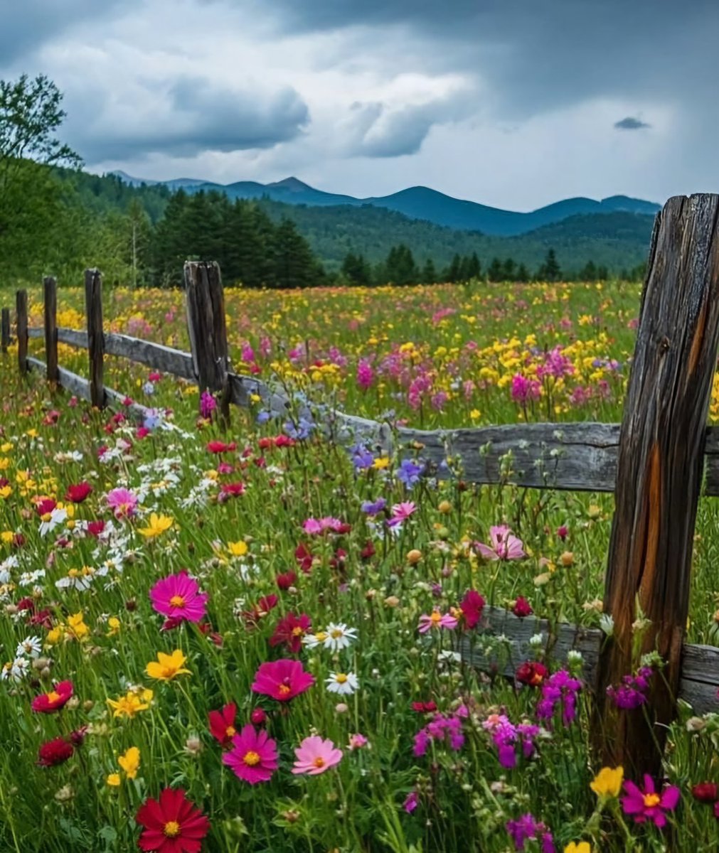 𒈙 Jack 𒈙 tweet media