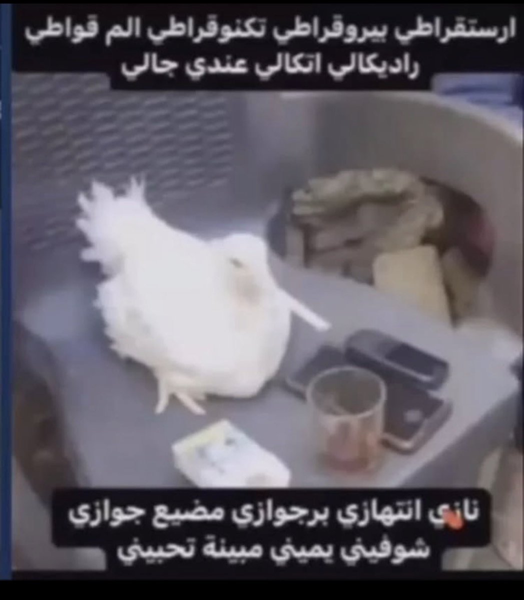 عزام عزومي عزيمان tweet media