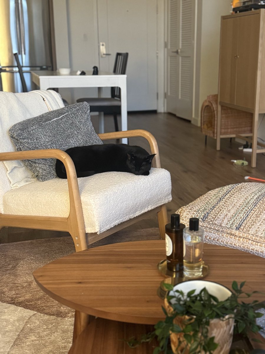 Mongee Sr. tweet media