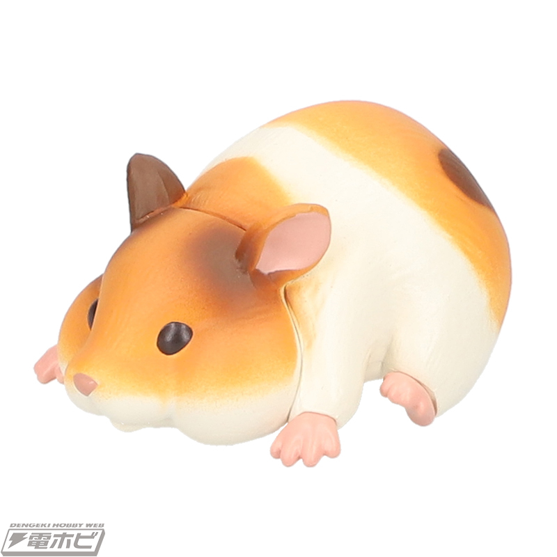 今週の話題】ハムスターの必死でしがみつく姿が可愛らしい #カプセル