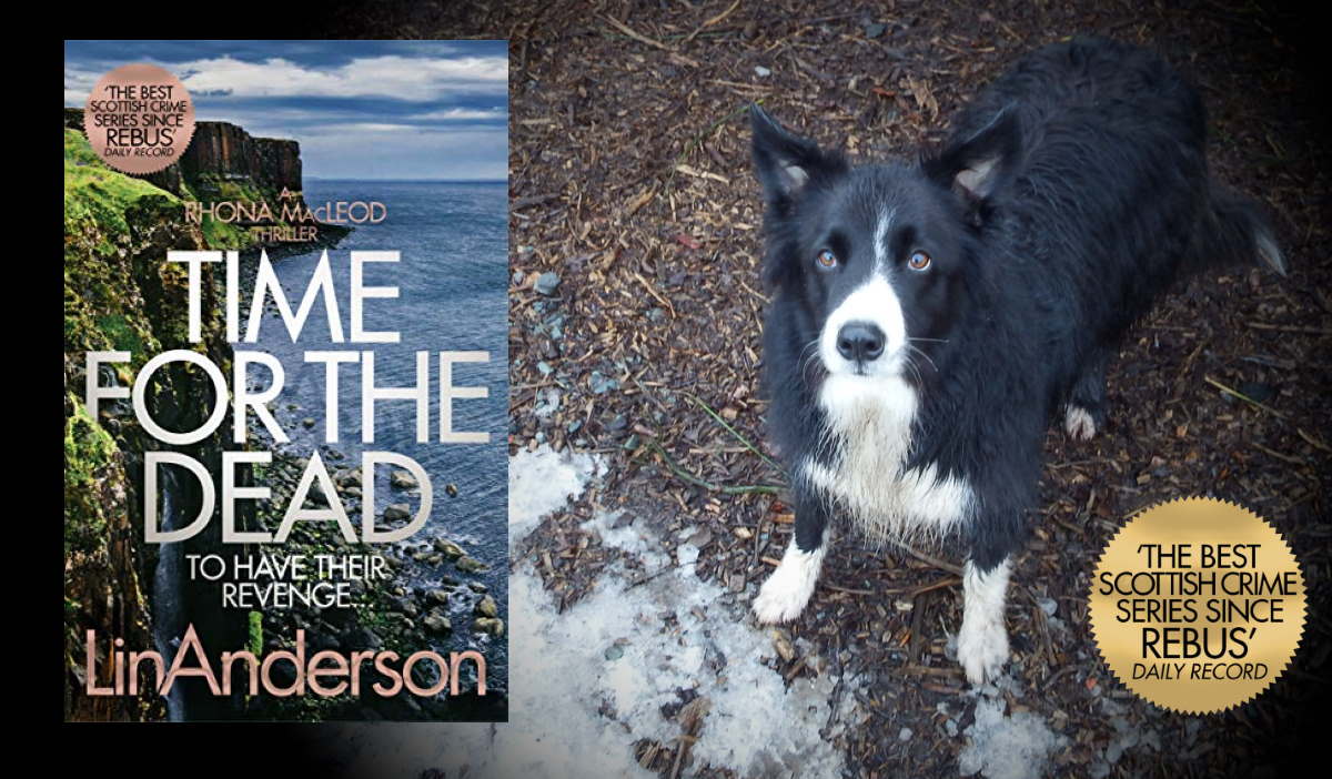 TheBookDuke tweet media