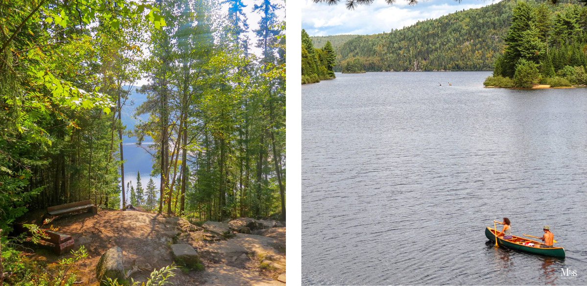 Robert Garcia Ochoa tweet media