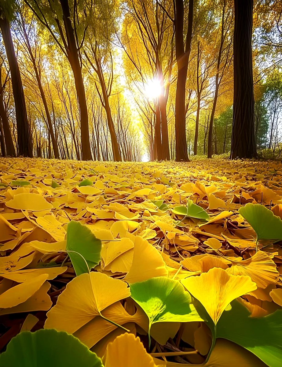 Valerie Lewis tweet media