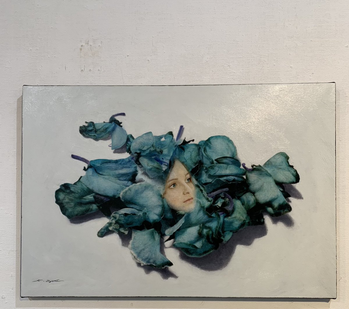 ネコネコと本屋さんの日常垢 tweet media