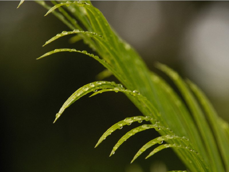 Arina Soloshenko tweet media