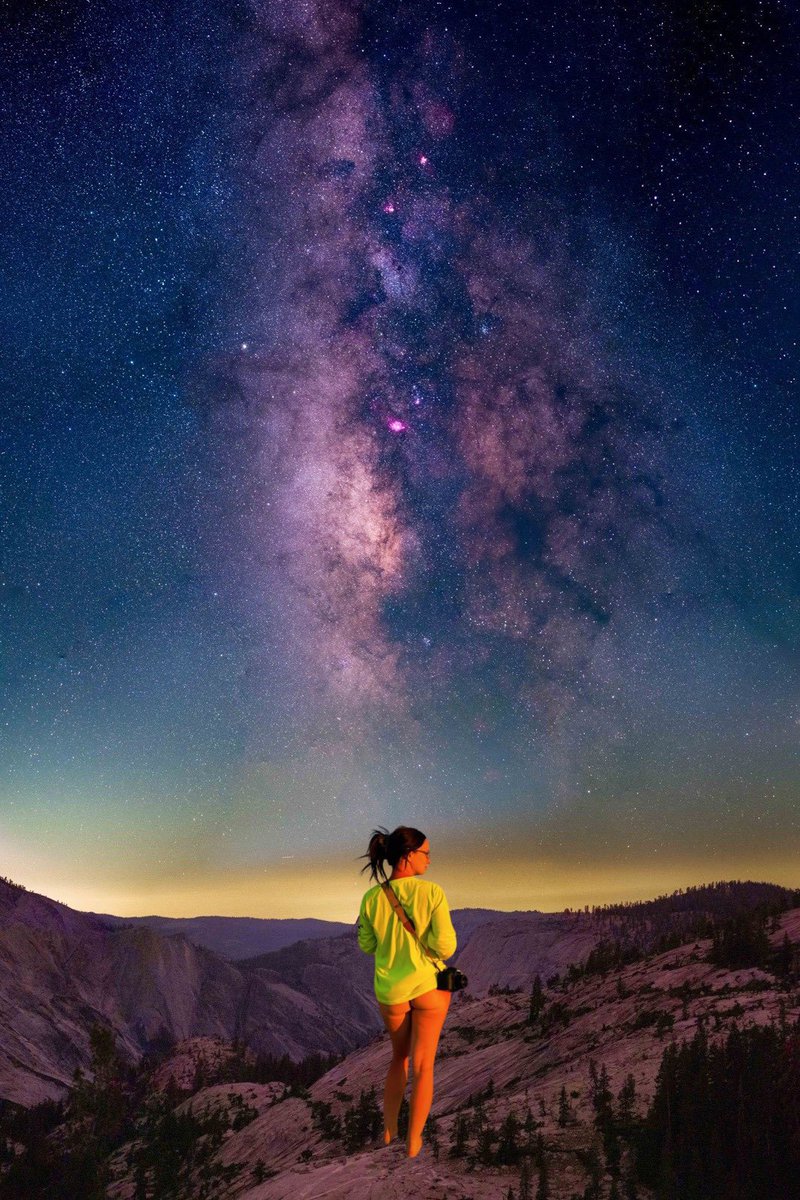 Crypto Panda tweet media