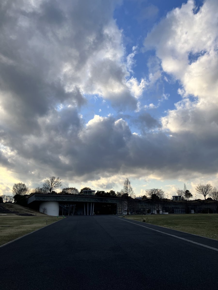 猫沢八郎◇ねこさん◇7、8月昆虫ミュージカル*\(^o^)/* tweet media