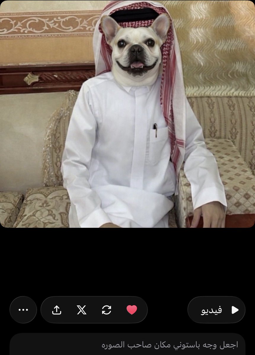 صالح⭐️⭐️ tweet media