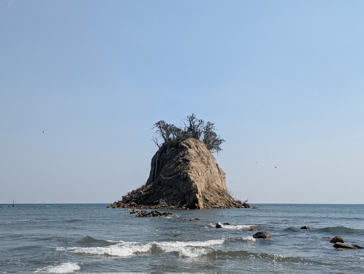 燃えイカ tweet media