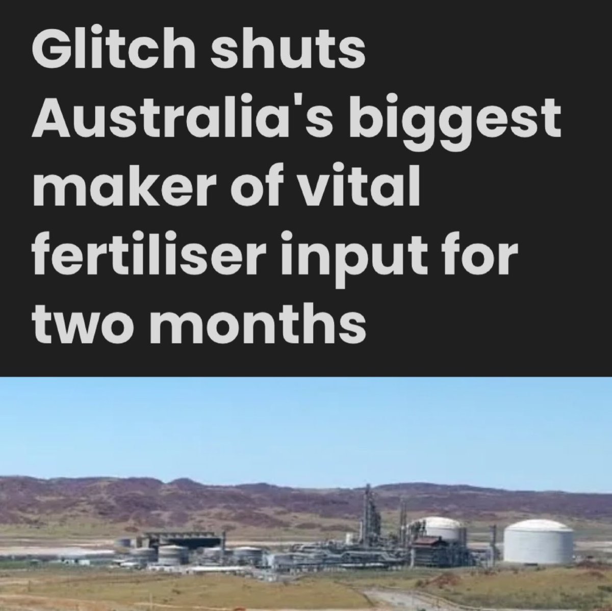 Lozzy B 🇦🇺𝕏 tweet media