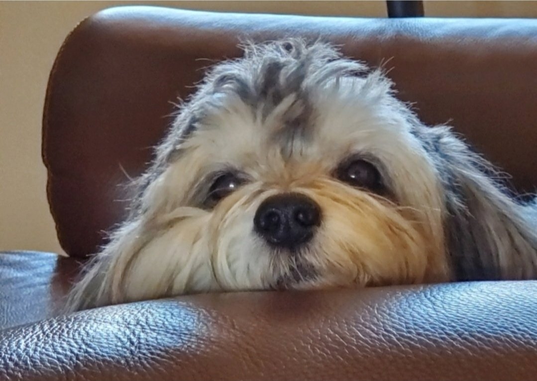 Mary 🟦 tweet media