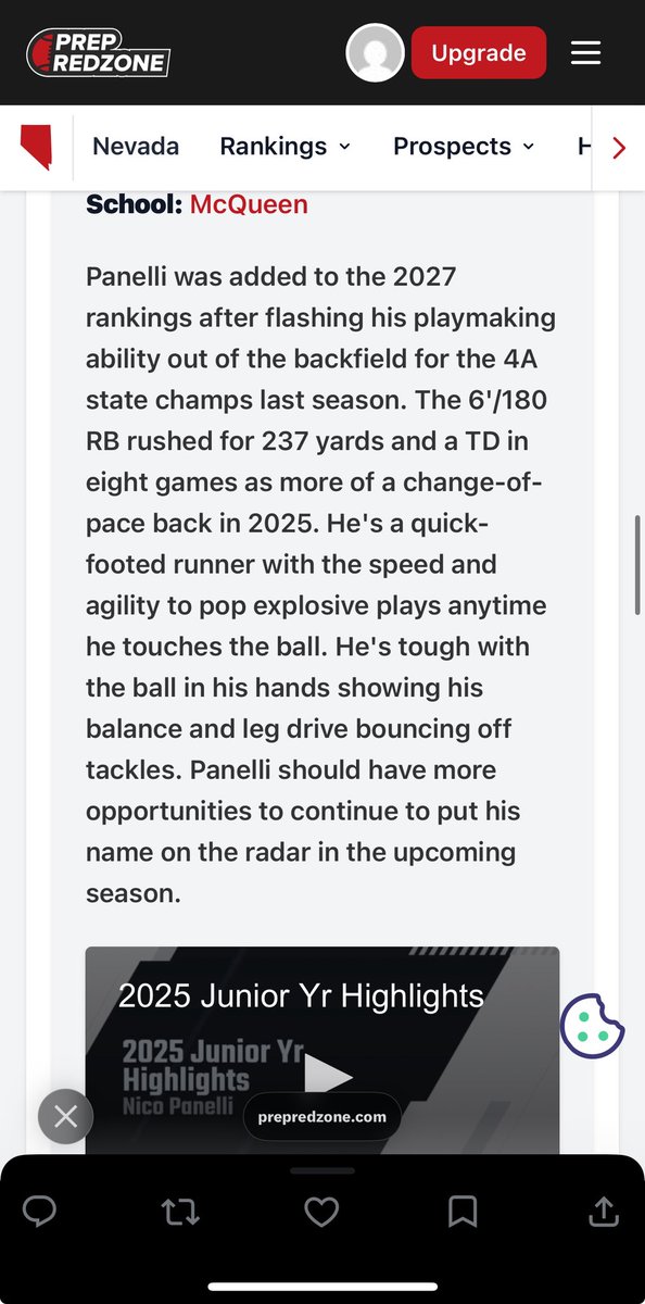 Nico Panelli tweet media