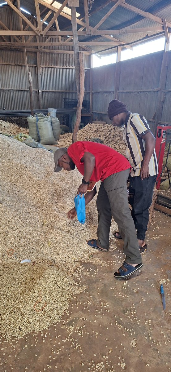 Thomas-Josephat tweet media