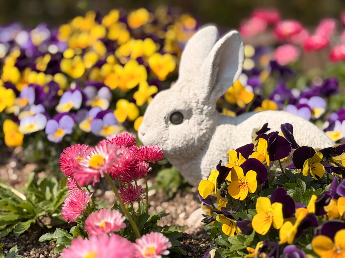 #TLを花でいっぱいにしよう

素敵な一日を✿.*･