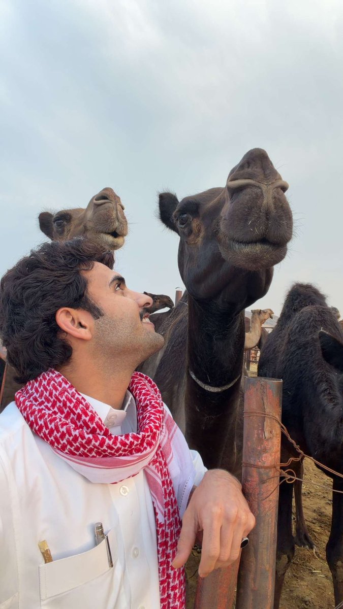 بهاج الأكلبي tweet media