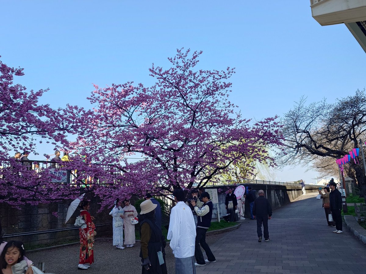 sfutemma's tweet photo. 脚つりまくり😭この距離は筋力足らず😓
たった今 Runkeeper でアクティビティを完了しましたhttps://t.co/p6BRA73opp https://t.co/NkoYSJ7WPJ