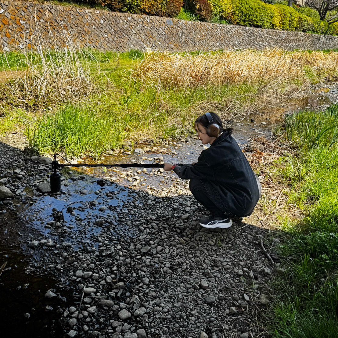 Shoco Sato tweet media