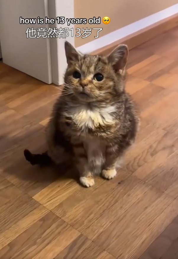 Güncel Bilim tweet media