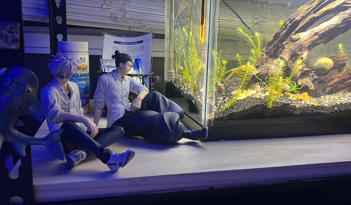 mars 🍉 tweet media