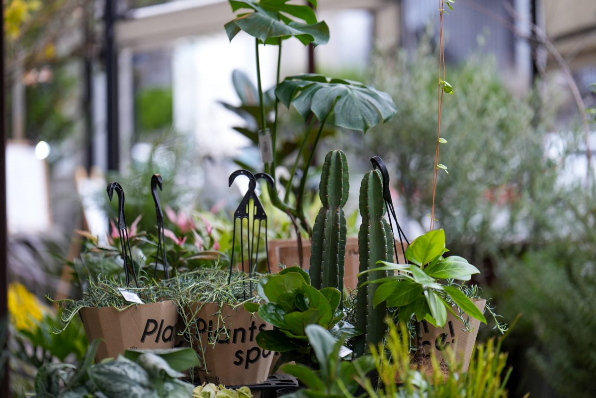 カメラ専門店 マップカメラ【公式】 tweet media