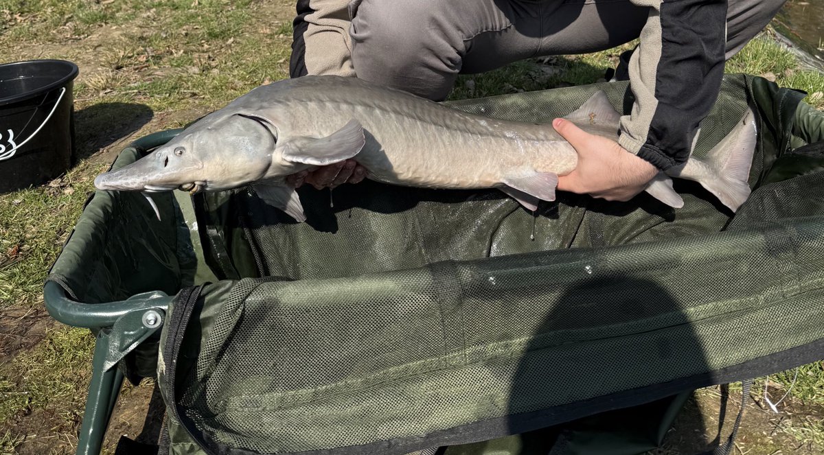 sajdendsgn tweet media