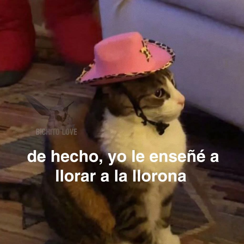 En Júpiter tweet media