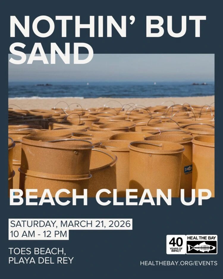 Elizabeth Wright tweet media