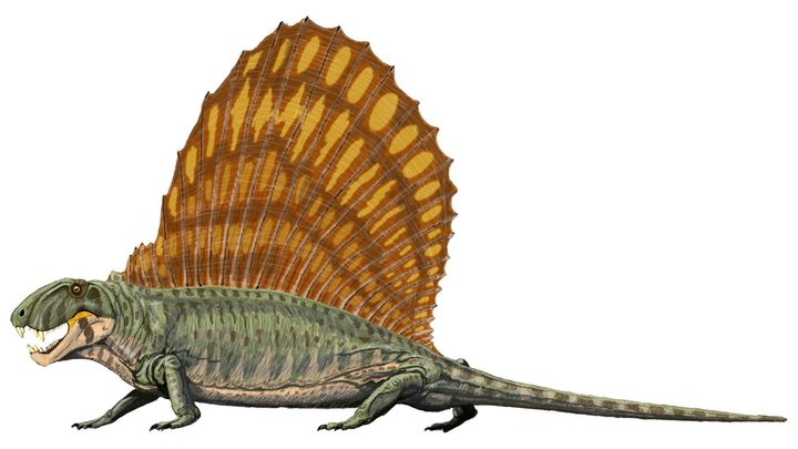 jtotha__'s tweet photo. These guys aren’t even dinosaurs. https://t.co/nBlNDrDtGA