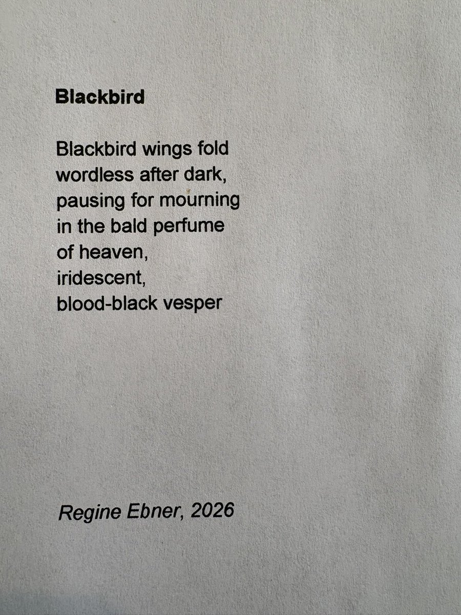 Black Bough Poetry / Barddoniaeth Y Gangen Ddu tweet media