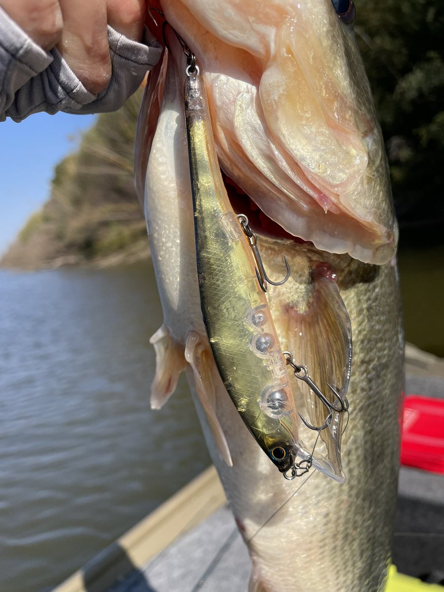 MB井佐知之 tweet media