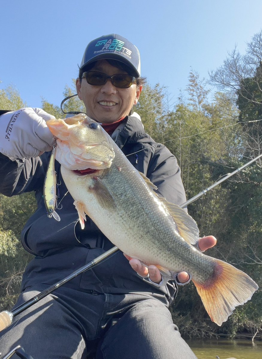 MB井佐知之 tweet media