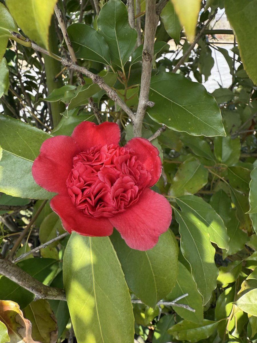 小青蛙Nixx 🐸 tweet media