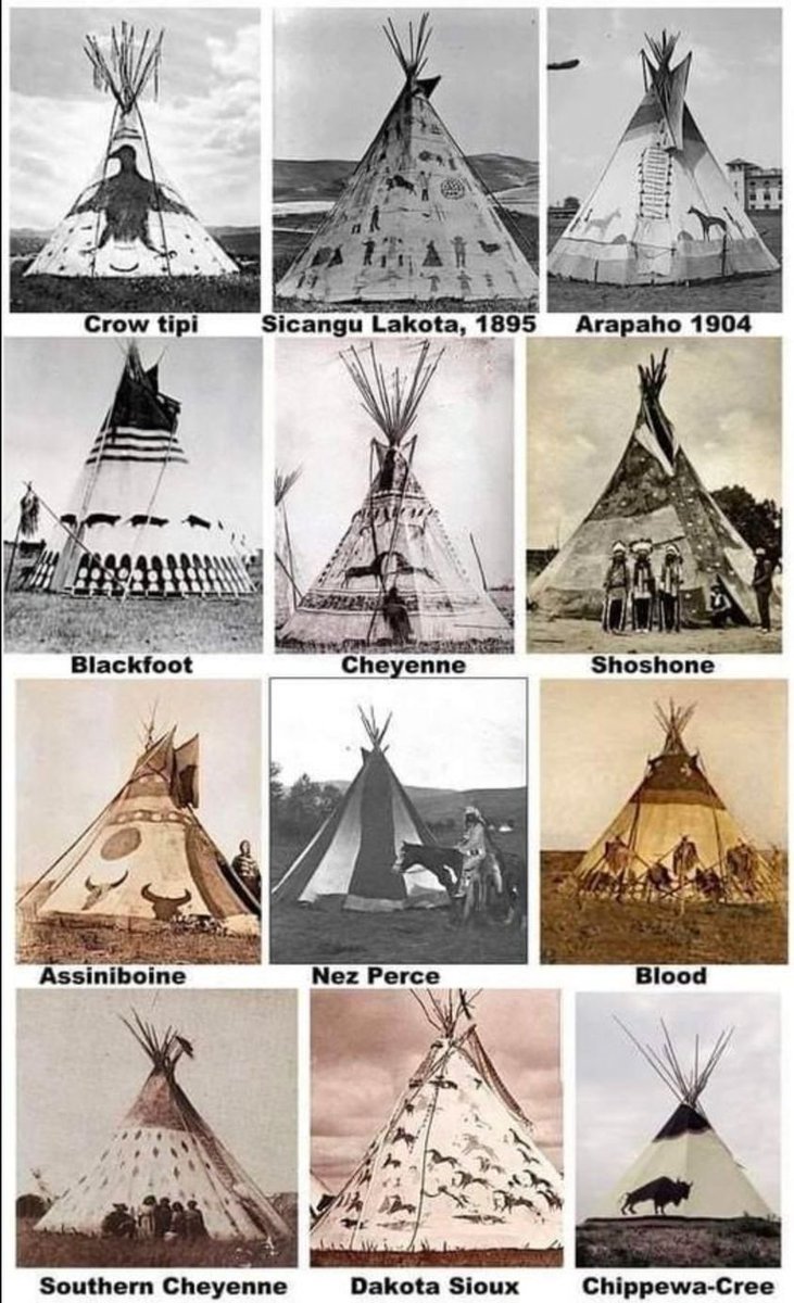 Ya-Native tweet media